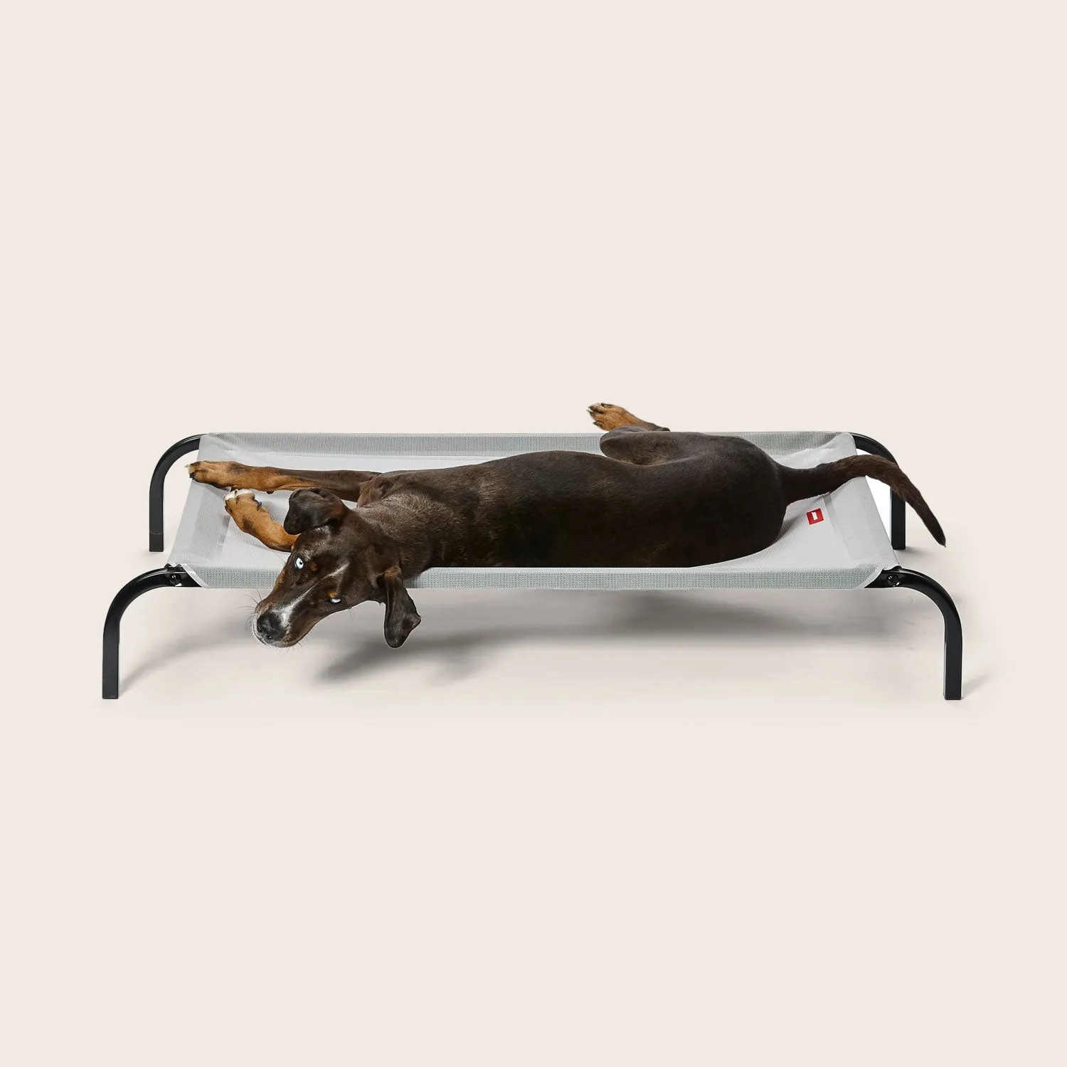 Flea-Free Dog Bed Grey/Black